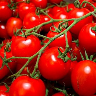 35 Pcs Rare Auhui Bright Red Cherry Tomato Organic Seeds