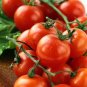 35 Pcs Rare Auhui Bright Red Cherry Tomato Organic Seeds
