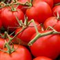 35 Pcs Rare Auhui Bright Red Cherry Tomato Organic Seeds