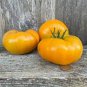 100 Pcs Brandywine Yellow Big Zac Tomato Seeds