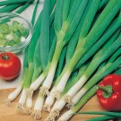 30 Pcs Heirloom Green Drumstick Scallion Seeds 30 Pcs Heirloom Green Drumstick Scallion Seeds