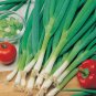 30 Pcs Heirloom Green Drumstick Scallion Seeds