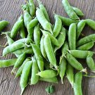 10 Pcs Organic Green Pea Seeds 10 Pcs Organic Green Pea Seeds