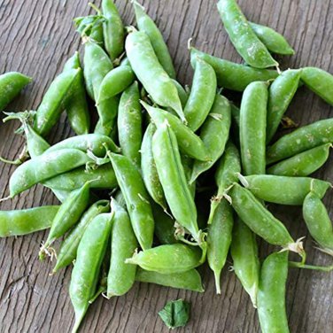 10 Pcs Organic Green Pea Seeds