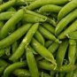 10 Pcs Organic Green Pea Seeds