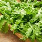 120 Pcs Chrysanthemum Coronarium Vegetable Seeds