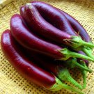 20 Pcs Heirloom Rare Long eggplant Seeds 20 Pcs Heirloom Rare Long eggplant Seeds