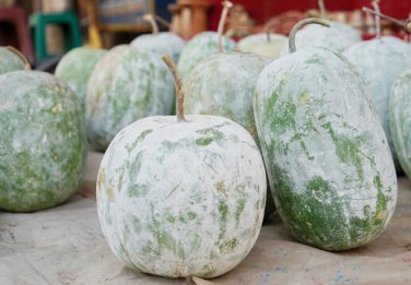12 Pcs Heirloom White Wax Gourd Vegetables