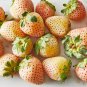 25 Pcs Rare White Strawberry