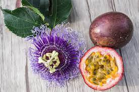 40 Pcs Heirloom Purple Passion Fruits