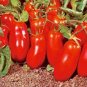 20 Pcs Rare Anhui Red 'Banana' Long Tomato Organic