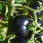 25 Pcs Heirloom Black Tomato Middle-sized Fruit Seeds