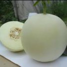 20 Pcs White Sweet Muskmelon Organic Seeds