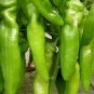 30 Pcs Organic Green Sweet Devil's Horn Pepper Seeds