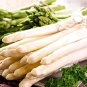 20 Pcs Rare White Asparagus Organic Chinese Vegetable Seeds