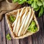20 Pcs Rare White Asparagus Organic Chinese Vegetable Seeds