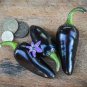 50 Pcs Rare Black Hungarian Hot Chili Pepper Organic Seeds