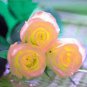 50 Pcs Rare Hybrid Light Pink Yellow Rose Seedling Flower Seeds