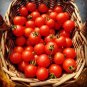 100 Pcs New 'Rose Red' Long Cherry Tomato Hybrid Seeds
