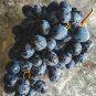 15 Pcs Rare Black Orin Organic Sweet Grape Fruit Seeds