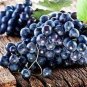 15 Pcs Rare Black Orin Organic Sweet Grape Fruit Seeds