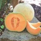 20 Pcs Color Muskmelon Fragrant Crisp Melon Organic Seeds