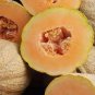 20 Pcs Color Muskmelon Fragrant Crisp Melon Organic Seeds