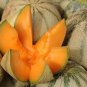 20 Pcs Color Muskmelon Fragrant Crisp Melon Organic Seeds