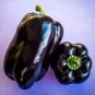 10 Pcs Anhui Dark Purple Sweet Pepper F1 Seeds