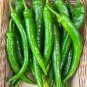 35 Pcs Anhui Green Long Sweet Cow-horn Pepper F1 Seeds