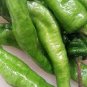 35 Pcs Anhui Green Long Sweet Cow-horn Pepper F1 Seeds