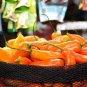 20 Pcs Anhui Yelow Hot Pickled Chili Pepper Organic Seeds