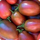 20 Pcs Heirloom Purple Golden Cherry Tomato Organic Seeds 20 Pcs Heirloom Purple Golden Cherry Tomato Organic Seeds