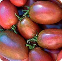 20 Pcs Heirloom Purple Golden Cherry Tomato Organic Seeds