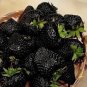 100 Pcs Rare Heirloom Super Black Strawberry Organic Seeds