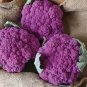 20 Pcs Heirloom Purple Sicily Cauliflower Organic Vegetable Seeds
