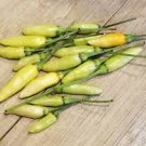 60 Pcs Heirloom Wild White Hot Tabasco Chili Pepper Organic Seeds