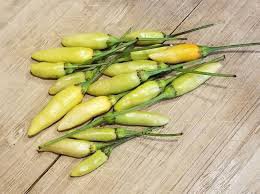 60 Pcs Heirloom Wild White Hot Tabasco Chili Pepper Organic Seeds