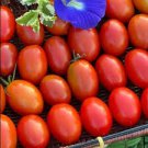 10 Pcs Very Sweet Red Cherry Tomato 'Hong Gu Niang' Organic