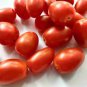 10 Pcs Very Sweet Red Cherry Tomato 'Hong Gu Niang' Organic