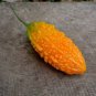 6 Pcs Bitter Melon Balsam Pear Fruit Seeds