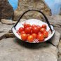 10 Pcs Rare Red Bonsai Dwarf Tomato 'Chong Ming' Organic