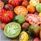 20 Pcs Cost-effective Heirloom Mixed Tomato Family Organic Seeds 20 Pcs Cost-effective Heirloom Mixed Tomato Family Organic Seeds