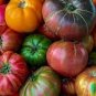 20 Pcs Cost-effective Heirloom Mixed Tomato Family Organic Seeds