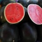 10 Pcs Black Yellow Skin Red Watermelon 'Crystal Ball' Seeds 10 Pcs Black Yellow Skin Red Watermelon 'Crystal Ball' Seeds