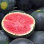 10 Pcs Black Yellow Skin Red Watermelon 'Crystal Ball' Seeds