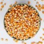 30 Pcs Organic Popcorn Seeds