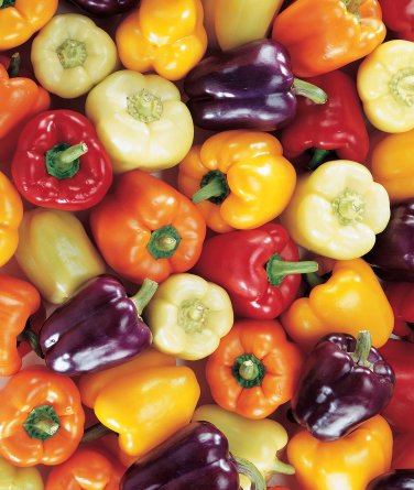 25 Pcs Colorful Sweet Pepper High-quality Multicolored Pepper