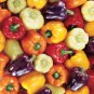 25 Pcs Colorful Sweet Pepper High-quality Multicolored Pepper