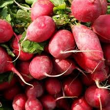 35 Pcs Sausage Radish Seeds Balcony Potted Vegetable Fruit Belle Radish